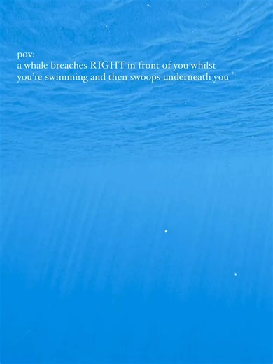 Epic Whale Breach Captured from the Surface