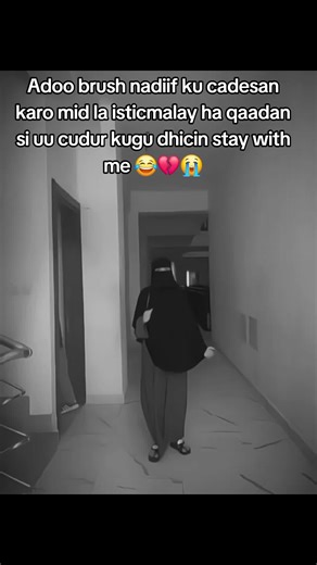 Best Practices for Cleaning Makeup Brushes