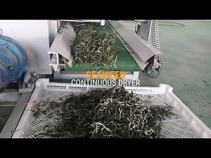 Seaweed Continuous drying machine