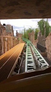 2.1K views · 27 reactions | Take a ride with us on the Cheetah Hunt at Busch Gardens Tampa Bay! The Shop Local Team enjoyed a day out!  | Only in South Florida | Facebook