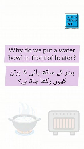 Why put a water bowl in front of heater? | Purpose of humidifier #heater #humidifer #humidification #waterbowl #winter #health #wherehealthcomesfirst #sabsepehlaysehat #سب_سے_پہلے_صحت #healthawareness #prevention #healthmatters #healthissues #healthylifestyle #healthybodyhealthymind #shifanewsinternational #shifanews #wellness #explore #trending #viralreels2024 | Shifa News International