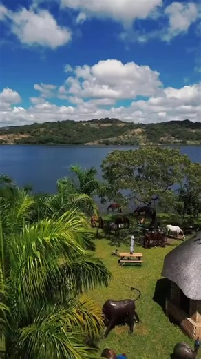 Zim is a wonder Discover Zim today. #visitzimbabwe #zimtiktok #tour #goviral #uktiktok