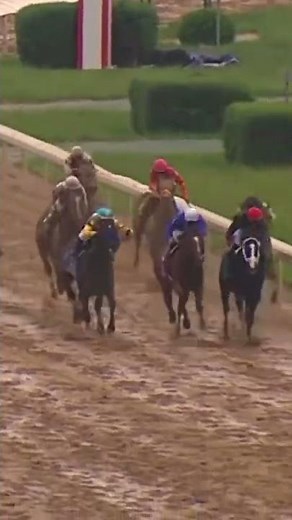 Kentucky Derby 2009 - Mine That Bird, 50-1 Upset