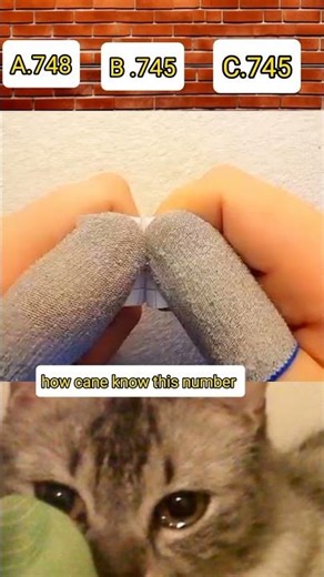 choose this correct answer #viral #trending #viral short #choose #answer