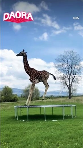 #views #shortviral #shortvideo #shortsyoutube #shortsfeed