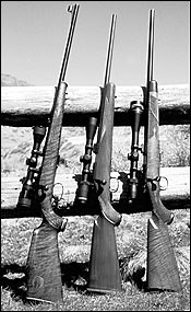 Top of the Line .22s - RifleShooter