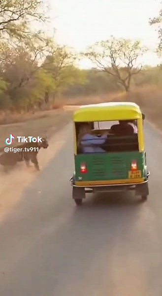 Tiger Tv (@tiger.tv911)’s videos with original sound - Tiger Tv