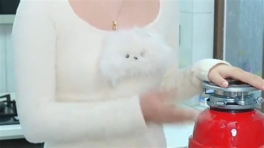 唯斯特姆（Wastemaid）厨余垃圾处理器厨智能圾处理器精细研磨专利技术 W750Plus