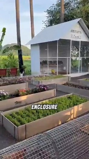 A Brilliant Tunnel-Style Chicken Enclosure You’ve Never Seen Before