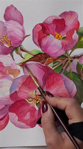 🩷 All about Watercolor REDS 🎨👉 Download your free guide on Patreon: https://www.patreon.com/posts/essential-reds-140401843 | Anna Bucciarelli Studio