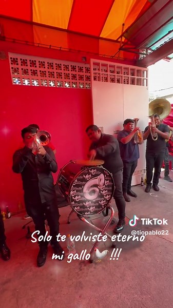 Valentín Elizalde: La Eternidad de un Gallo