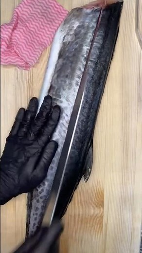 さわらを捌きます！サワラはこの時期に脂がのって美味しいお魚です！特に大きいものに脂がのってます！寒さわらをぜひ！皮目が美味しいので炙ってあげるのがおすすめです！ #サワラ #鰆 #ねぎお #ねぎお寿司