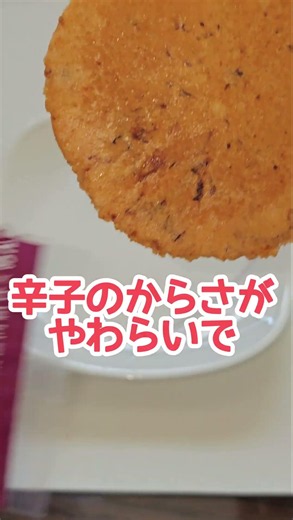 福岡醤油めんべい#福岡醤油めんべい #めんべい #お土産