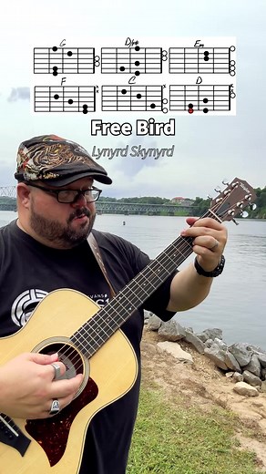 80K views · 1.5K reactions | Free Bird by Lynyrd Skynyrd Guitar Tutorial! Taylor Guitars #taylorguitars #freebird #lynyrdskynyrd #guitar #guitarra #guitare #music #musica #chevansmusic #musician #guitartutorial #acousticcover #learnguitar #musicteacher #guitarlessons #guitarteacher #guitaristsofinstagram #easy #beginner #chords #guitarchords #guitarist #guitaristsoftiktok #guitarists #guitariste #gitaro #kitarë #kitarr #gitarre #gitar #chitarra | Chas Evans | Facebook