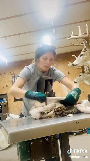 Modern Tanning and Shaving Techniques for Deer Hides