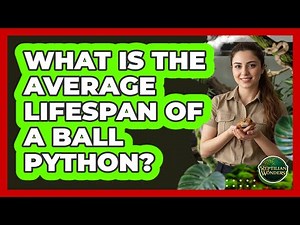 What Is The Average Lifespan Of A Ball Python?