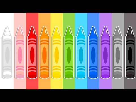 Coloreamos con Wichi 🐥🌈 Videos Educativos | Plim Plim