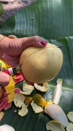 Buah pir jumbo #viralvideo