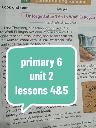 ‏primary 6 unit 2 lessons 4&5
