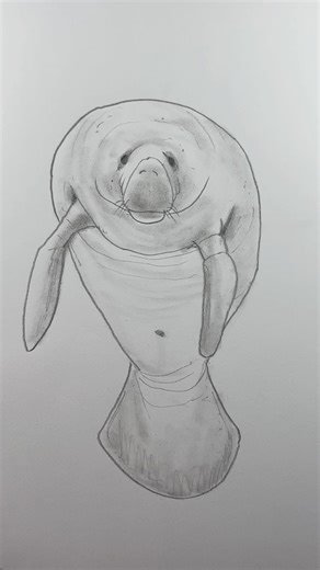 31K views · 972 reactions | Draw a manatee. Drawing lesson for people who don’t think they can draw. #drawinglesson | Mark Liam Smith | Facebook