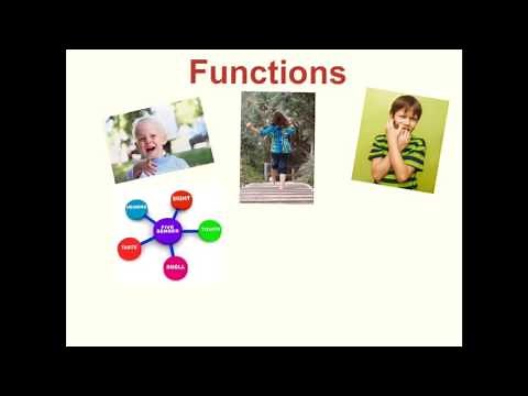 Decreasing Self Injurious Behaviors