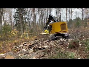 Tigercat 822D w Tigercat 570 Fixed Head
