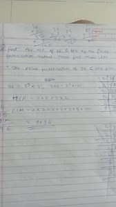 (3) find the HCF of 96 \& 404 by the prime factorisation method... | Filo