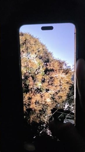 XIAOMI 14 CIVI NIGHT MODE CAMERA TEST ⚡ LEICA CAMERA 🥵 | BEST FLAGSHIP PHONE UNDER 25K