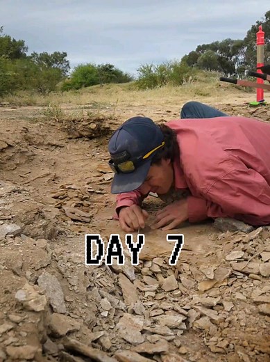 Discovering Plesiosaur Bones in Richmond QLD