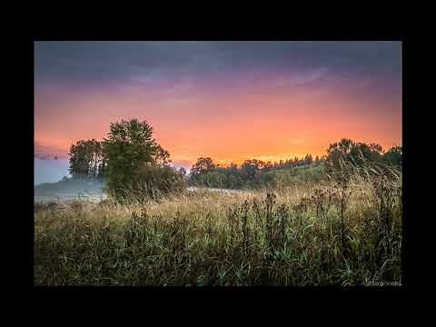 Little piece of you - Incredible guitar tribute to Pat Metheny/David Bowie (Many more on bandcamp)