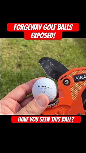 I’m gonna get SUED! Forgeway Exposed! ❌🏌️‍♂️