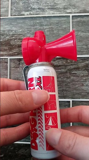 In Hand Review of SAFETY-SPORT DOG HORN XL