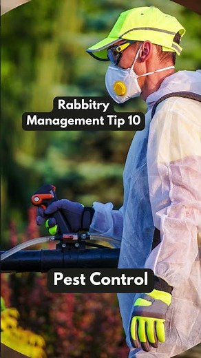 Protect Your Rabbits: Master Pest Control
