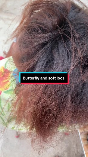 Styles : Butterfly locs and soft locs Cc.@The POV different styles for butterfly locs how to style my butterfly locks locs hairstyles ideas 24 inch butterfly locs hairstyles ways to style butterfly locs goddess locs faux locs hairstyles ideas 10 simple hairstyles #hairstyle #tiktokghana🇬🇭 #storytime #wendyzhairtouch🌹❤️ #butterfly #locs #fyp #fyppppppppppppppppppppppp #viral #makemefamous #accrabraider #hairtok #protectivestyles #tutorial