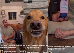 Viral YouTube Short | Pet parent's worst sleepover with dog [Video]