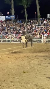 ‼️NEW GO ROUND LEADER IN THE BULLRIDING ‼️ Agent 88 and @robbie_taylor194 took it to the top for round 2 last night! Spectacular performance last night @officialstrawberrydaysrodeo! Stay tuned for updated round leaders and match ups! 👏🏼🍓 | Legacy Pro Rodeo