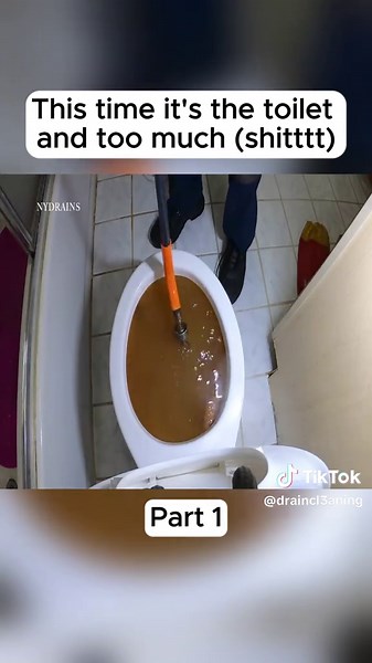 Effective Toilet Drain Unblocking Tips