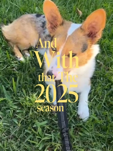 Brick’s 2025 Recap See Other Videos on YouTube #BrickTheCorgi #ElectricCorgi #CorgiLife #DogVlog #PetAdventures