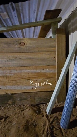 Building a bigger brooder box for my baby geese. Another DIY project help me Jesus.. #DIY #diyprojects #brooder #highlights #ThankYouJesus | Mary's Witness