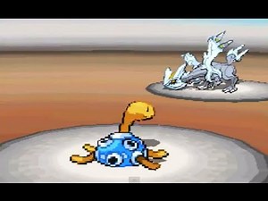 ★~EPIC SHUCKLE SWEEP~★