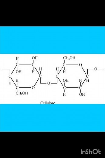 Structure of cellulose