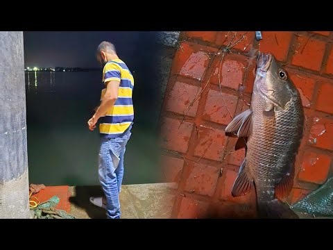Fishing day vlog | catching chemballi | red snapper #fishing #keralafishing #cooking #explorepage
