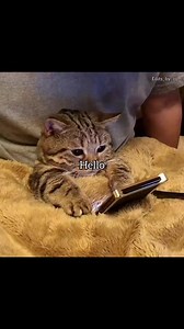 9.2K views · 49 reactions | Hellooo ☠️ | 18+ Memes Society | Facebook