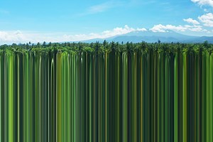 Scientists Say There’s a 50/50 Chance We’re Living in a Simulation