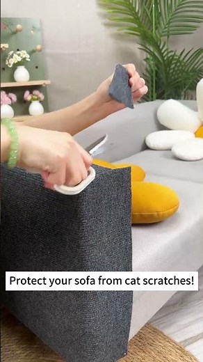 Stop Cat Scratching: GlamPawStore’s Sofa Protector in Action