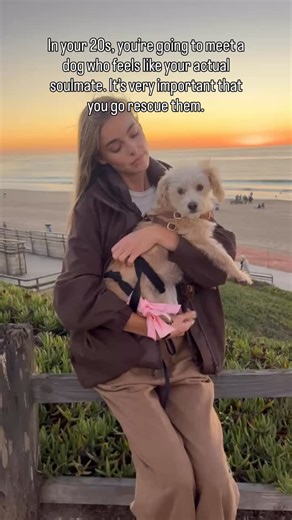 Elizabeth Turner on Instagram: "What would we do without our animal companions??? 🥹♥️"