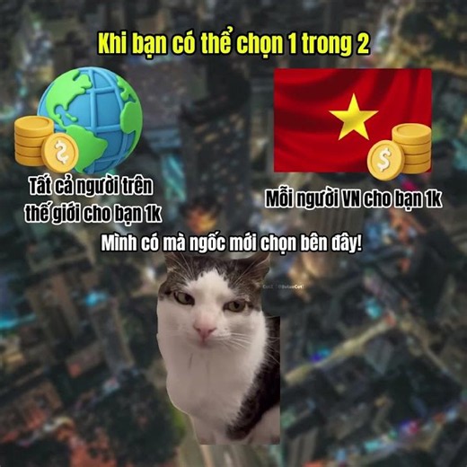 Would you choose Vietnam or the whole world? #cat #meme