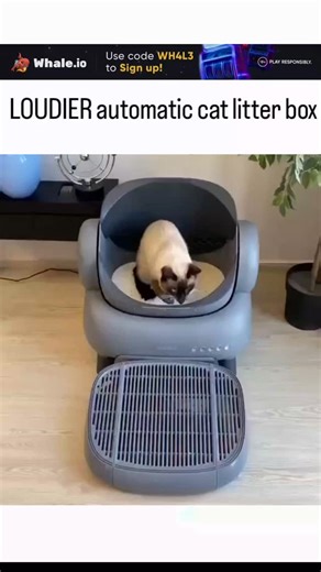 perce_ptiveyed | The post shares a viral video by Nigerian filmmaker @fresh_main , showcasing low-budget techniques to transform a toy Jeep Wrangler into a... | Instagram