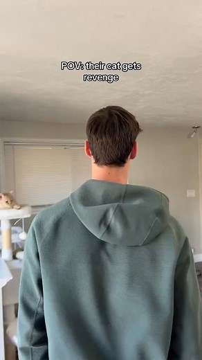 Don’t cross Milo #cat #cats #funnycat #catowner #catlover #funnycats #catlovers #catowners #catsoftiktok #cattok | Jared and Milo