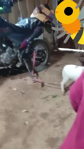 Videos de Librería bolivar (@libreria_bolivar) con “sonido original - Librería bolivar”